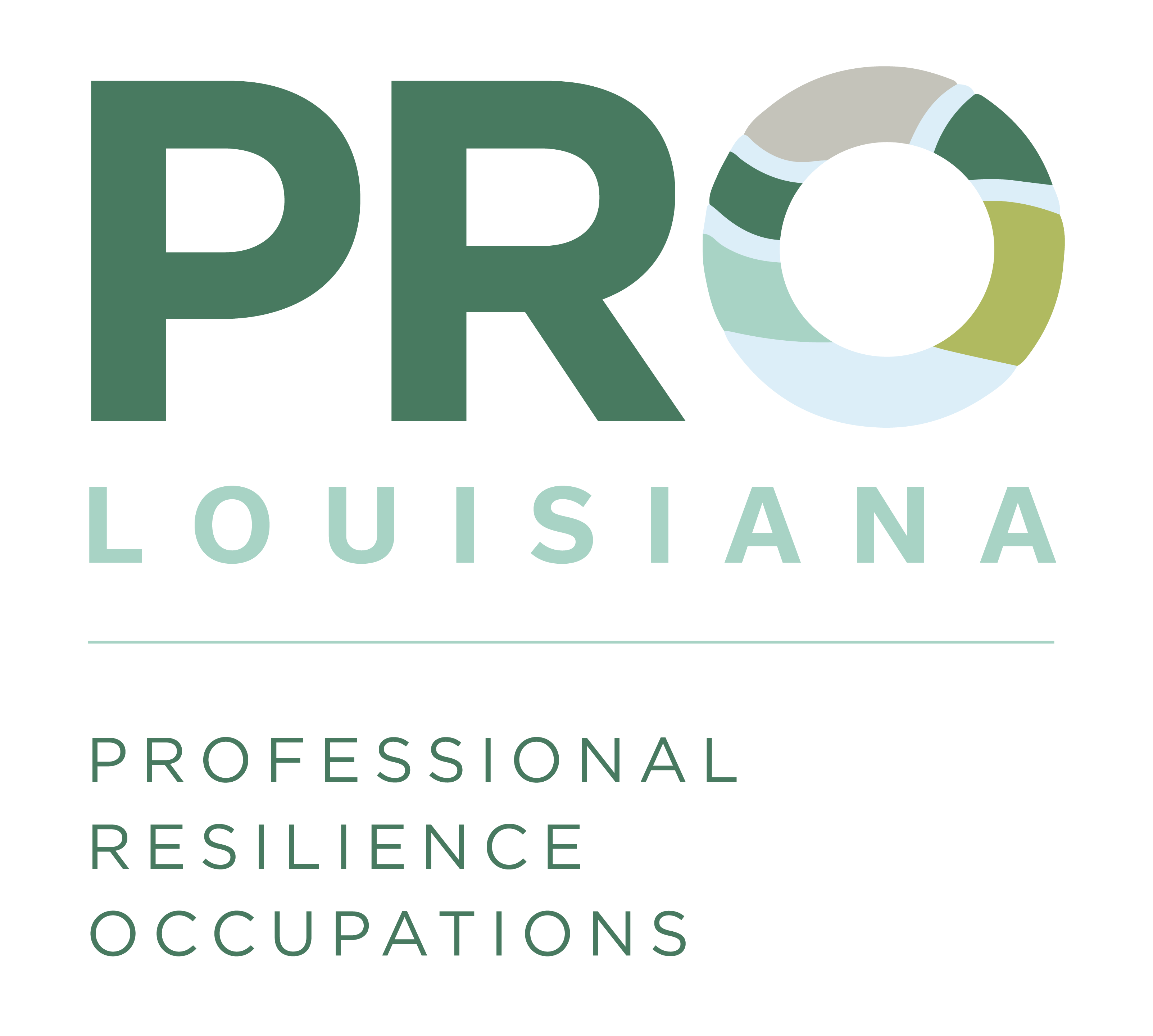 PROFESSIONAL RESILIENCE OCCUPATIONS