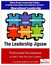 leadership jigsaw